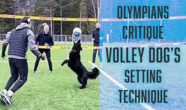 volley dog setting