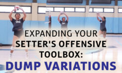 Training the setter dump