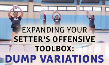 Training the setter dump